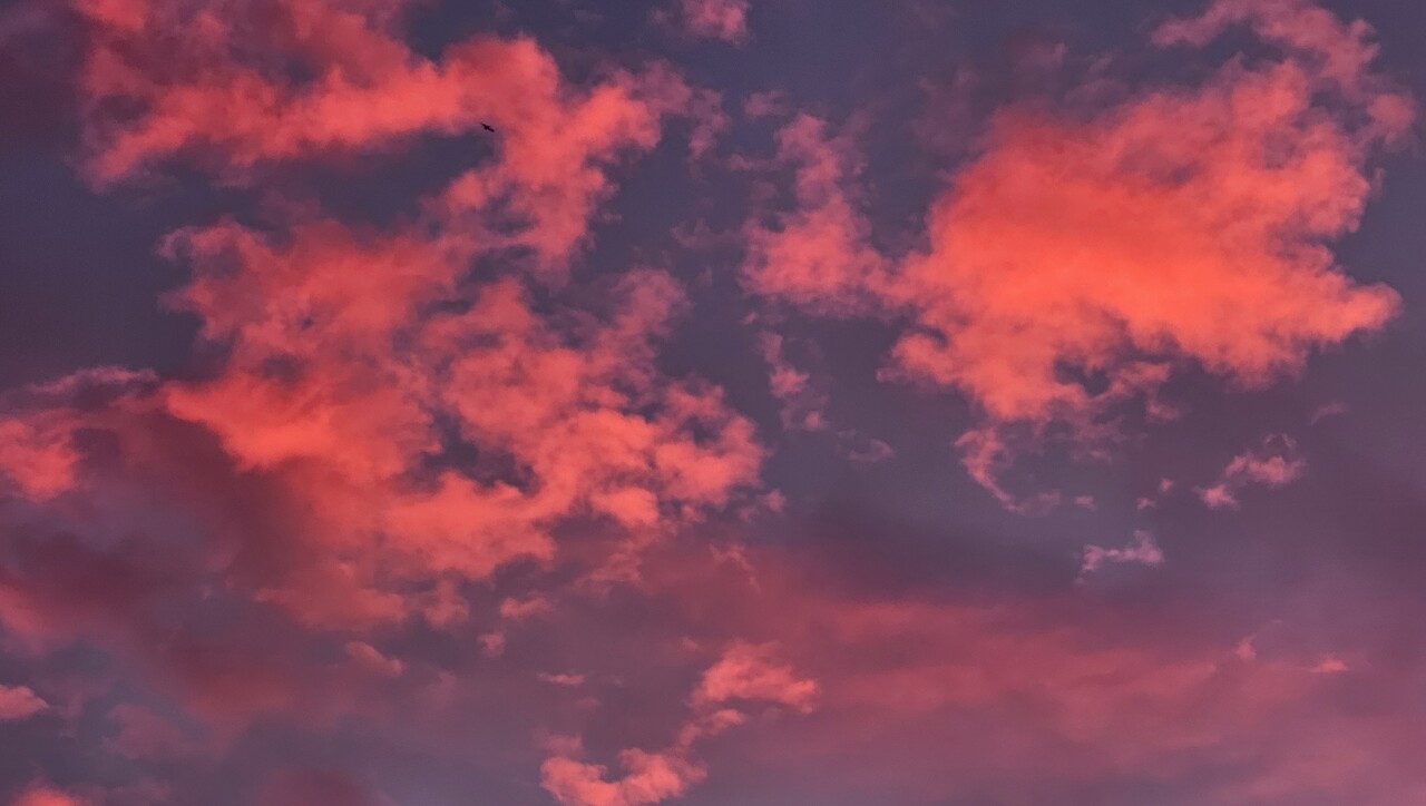 Pink-and-fushia-sky.jpg